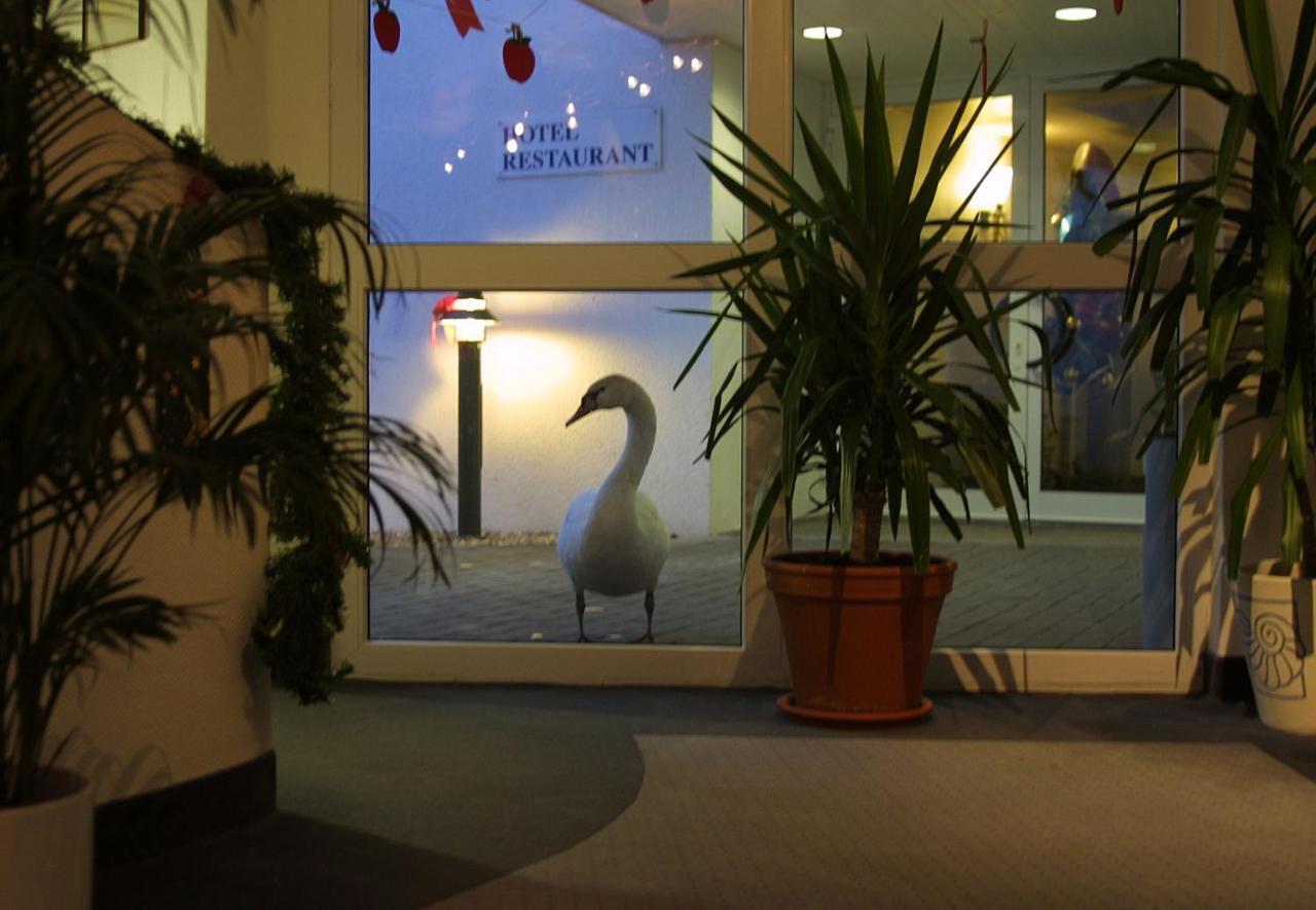 Seehotel Luisenhof Falkenhagen  Exterior photo